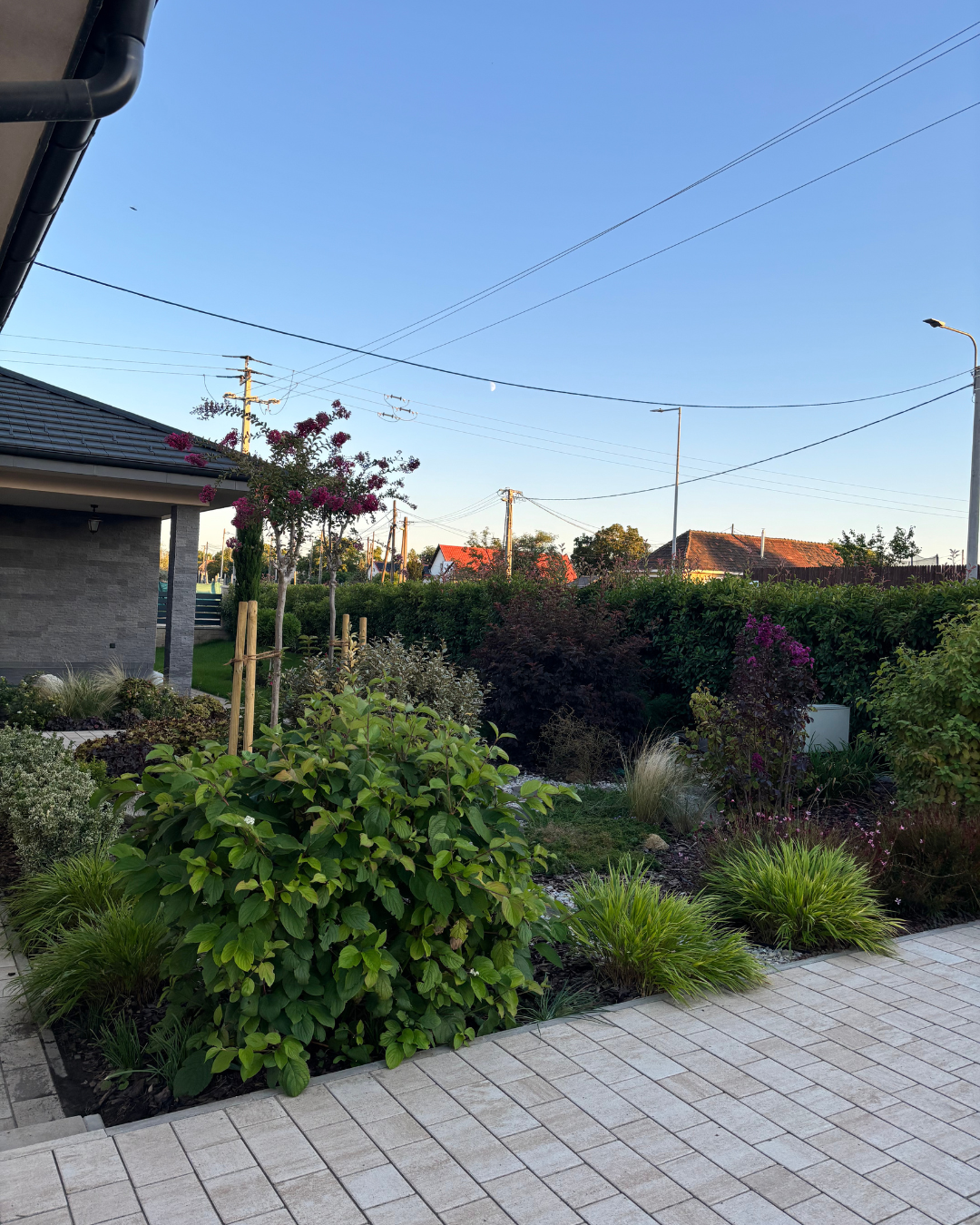 Kertépítés - Előkert tele növényekkel 23. kerületben